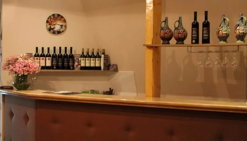 Aleksandria Hotel — Photo 15