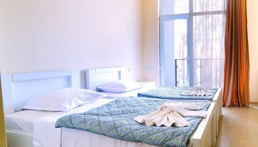 Hotel Lizana Shekvetili — Photo 23