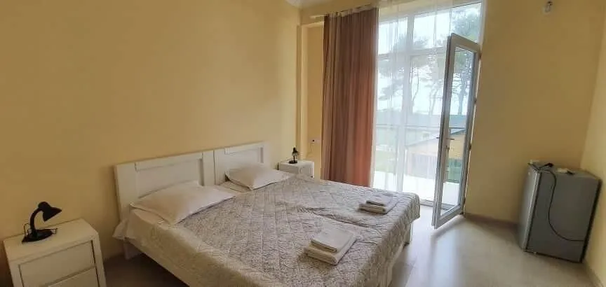 Hotel Lizana Shekvetili — Photo 17