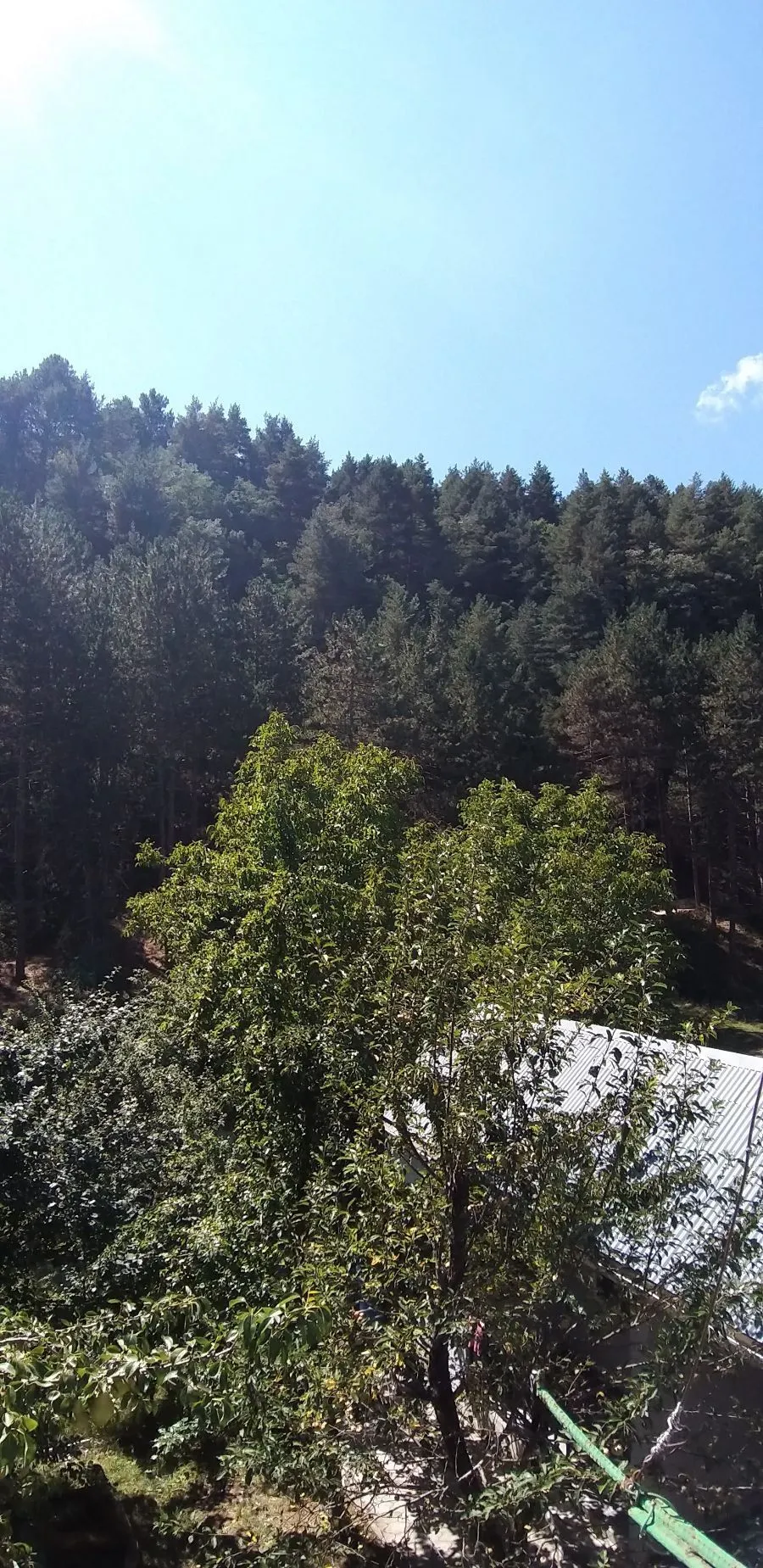 NIKA2012 — Photo 4
