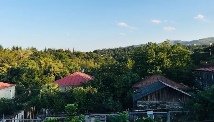 Guest house Ekvana — Photo 18