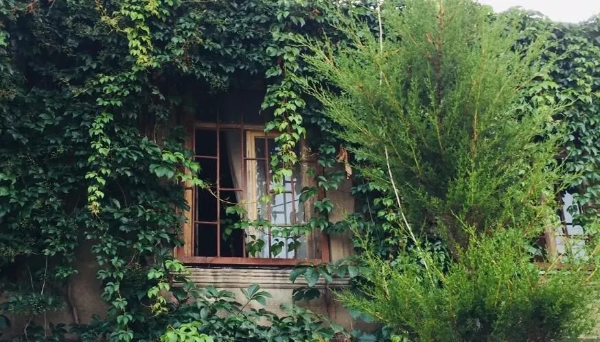 Guest house Ekvana — Photo 14