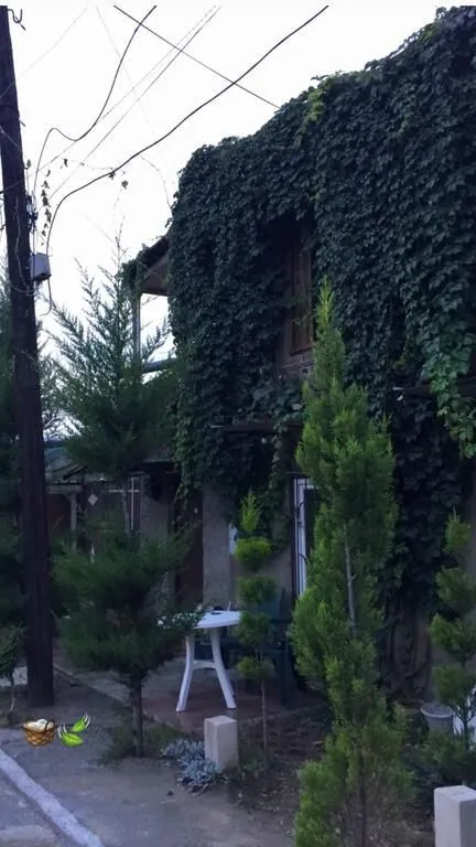 Guest house Ekvana — Photo 2