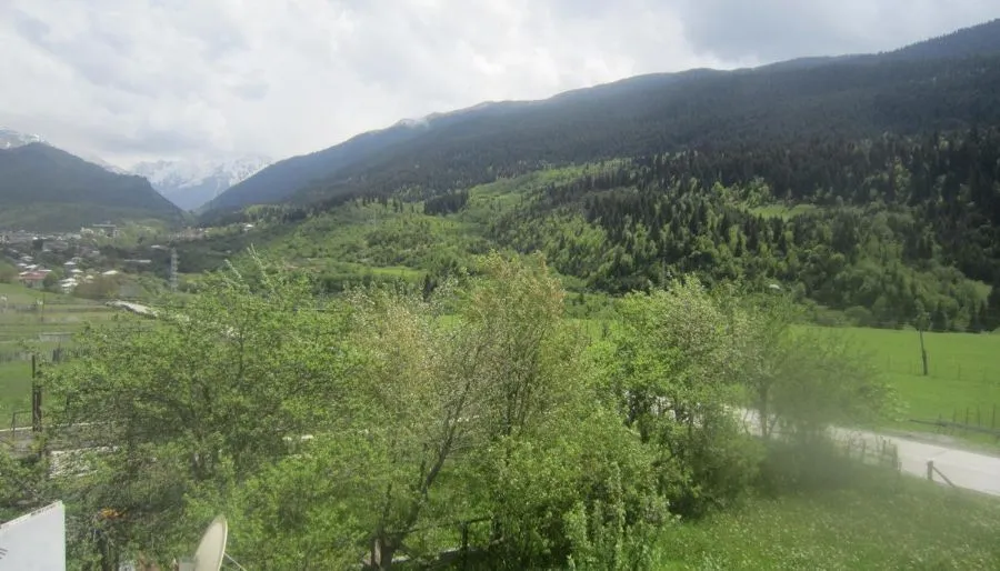 NESGUNI — Photo 23
