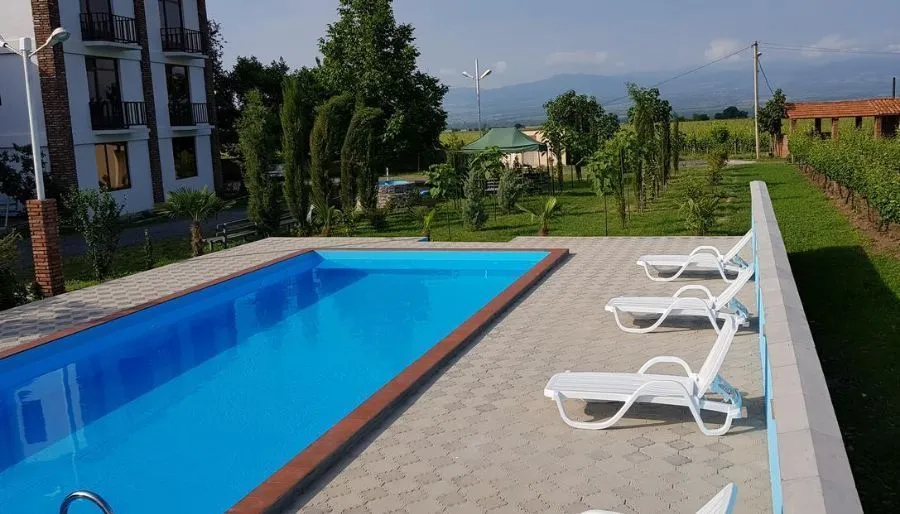 Shaloshvili's Cellar Hotel — Photo 21