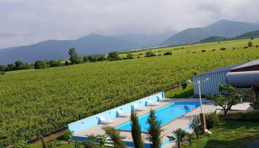 Shaloshvili's Cellar Hotel — Photo 31