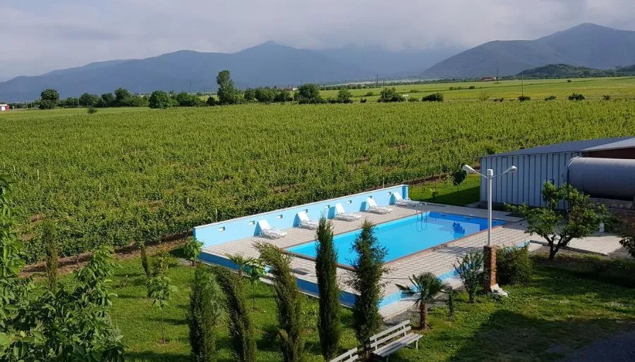 Shaloshvili's Cellar Hotel — Photo 28