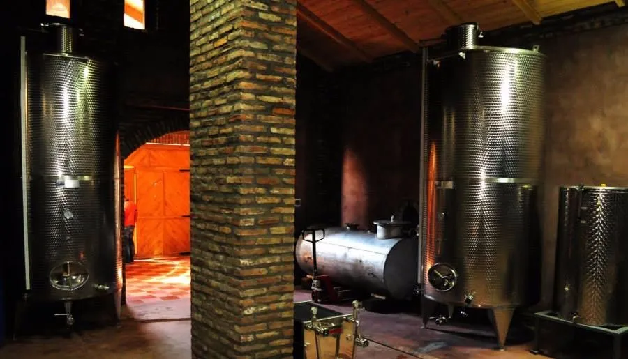 Shaloshvili's Cellar Hotel — Photo 35