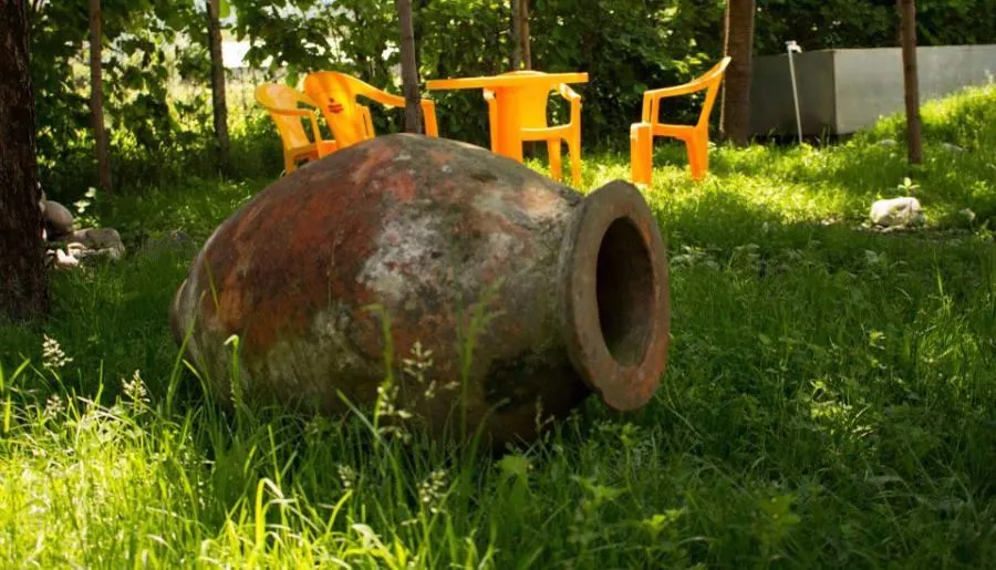 Nona — Photo 13
