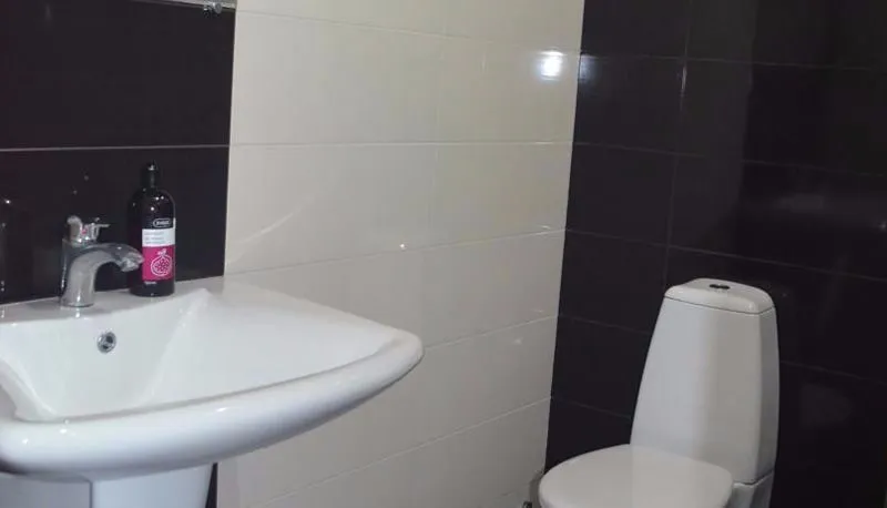 Apartment on Rustaveli — Photo 10