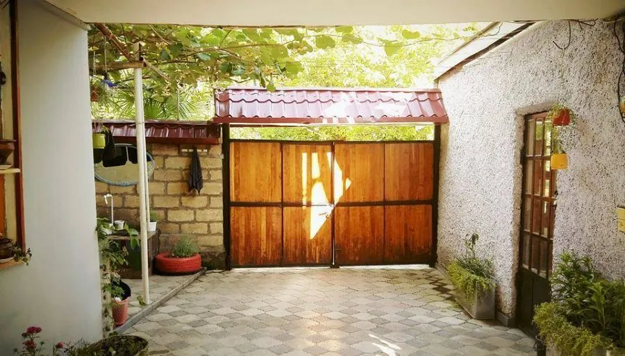 Lile — Photo 4