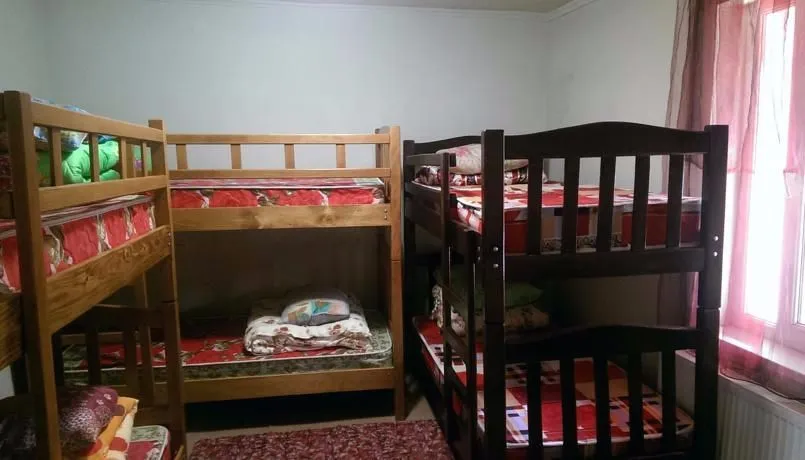 Comfort Plus — Photo 26