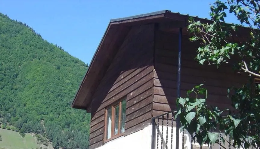 Nikala Mestia — Photo 13