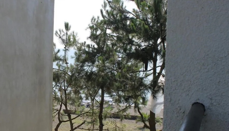 Mirage — Photo 81