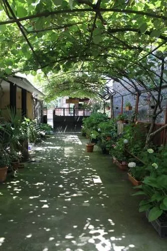 Kiwi House — Photo 25