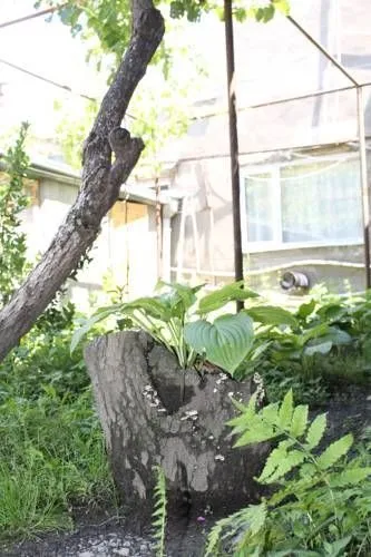 Kiwi House — Photo 33