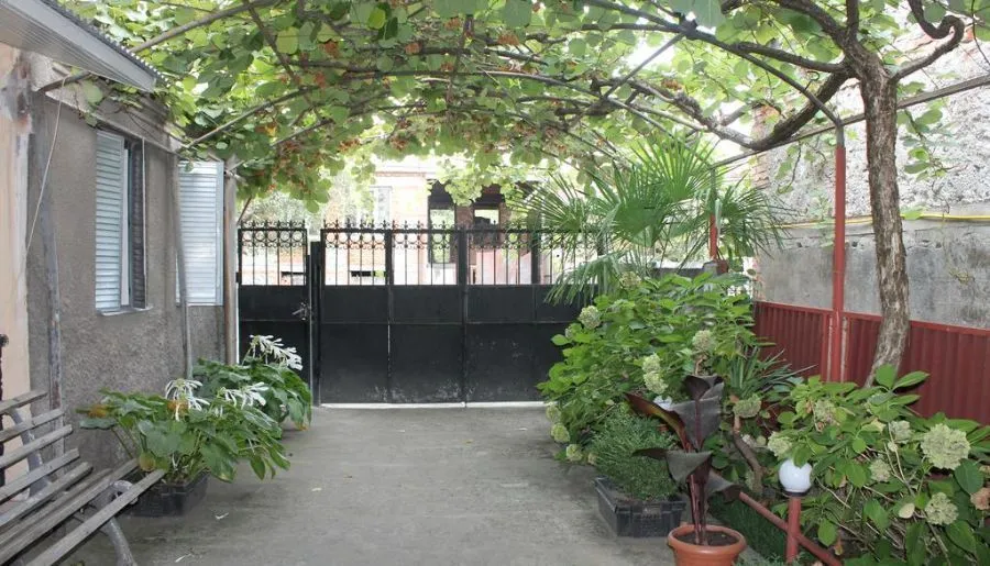 Kiwi House — Photo 23