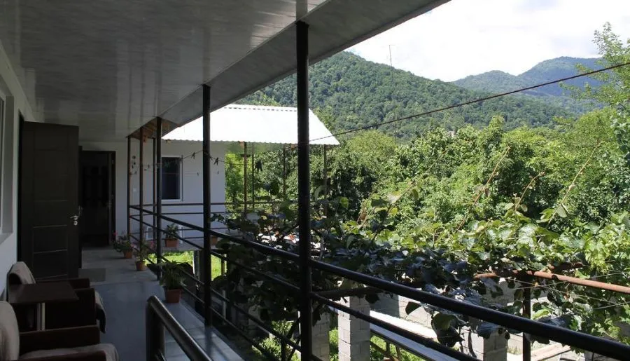 Kiwi House — Photo 28
