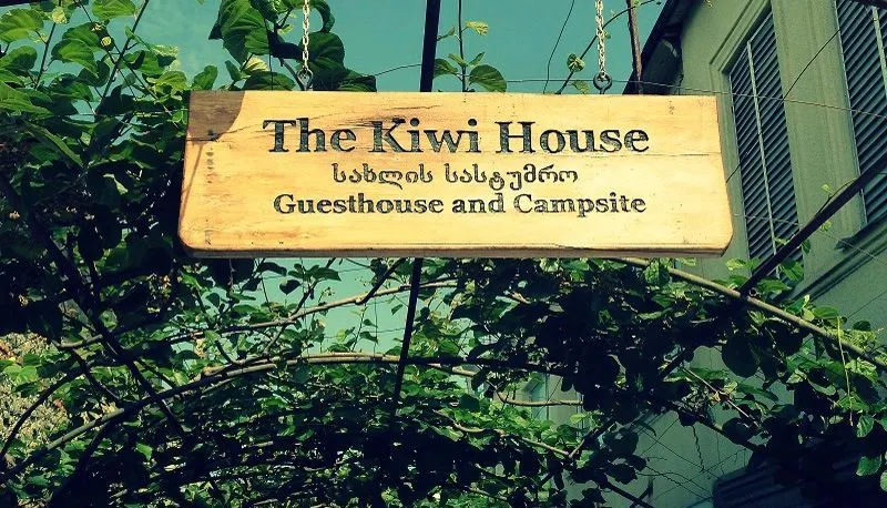 Kiwi House — Photo 29
