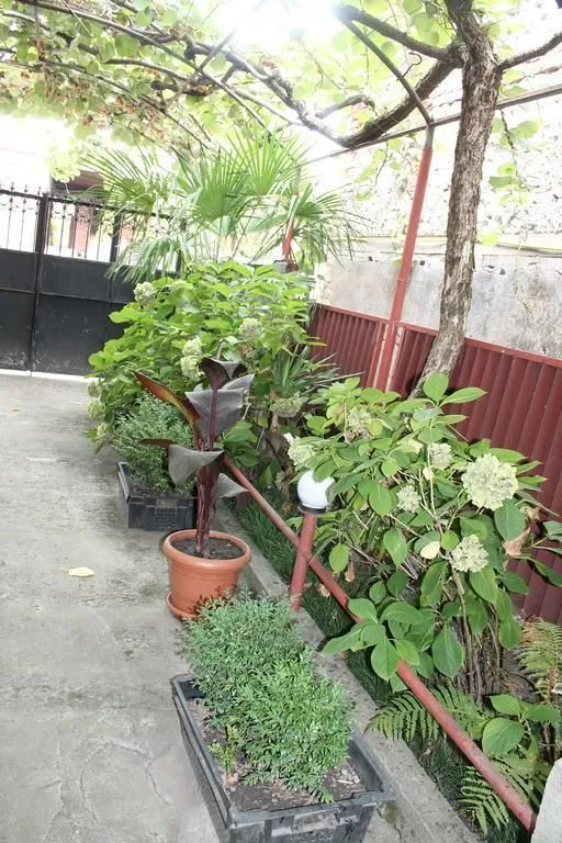 Kiwi House — Photo 27