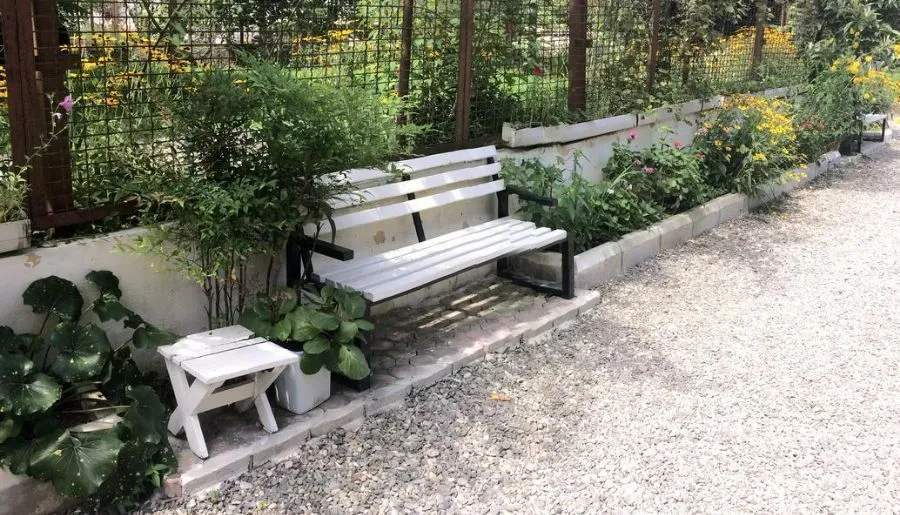 Achi — Photo 22