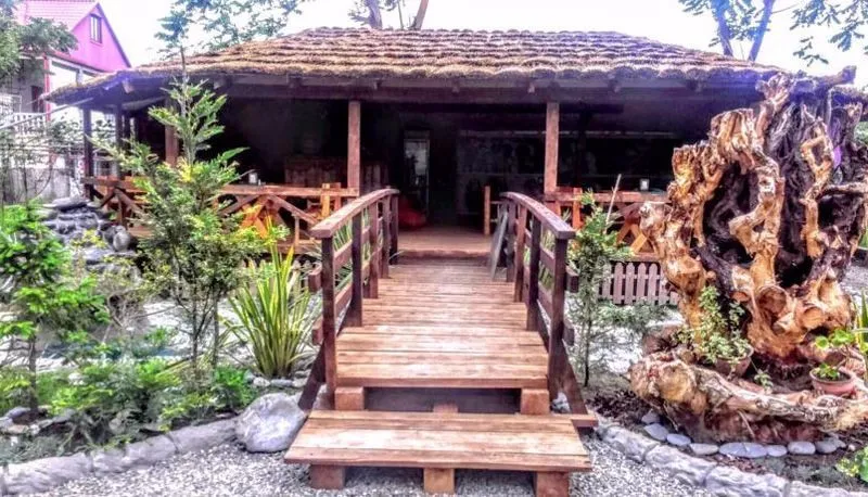 Amigo II — Photo 3