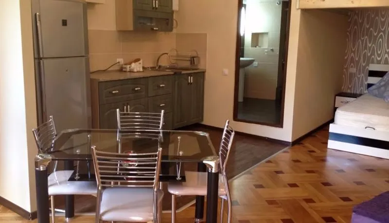 Apartment on Agmashenebeli — Photo 5