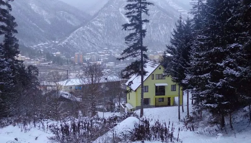 Borjomi Forest — Photo 18