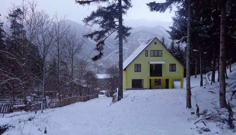 Borjomi Forest — Photo 11