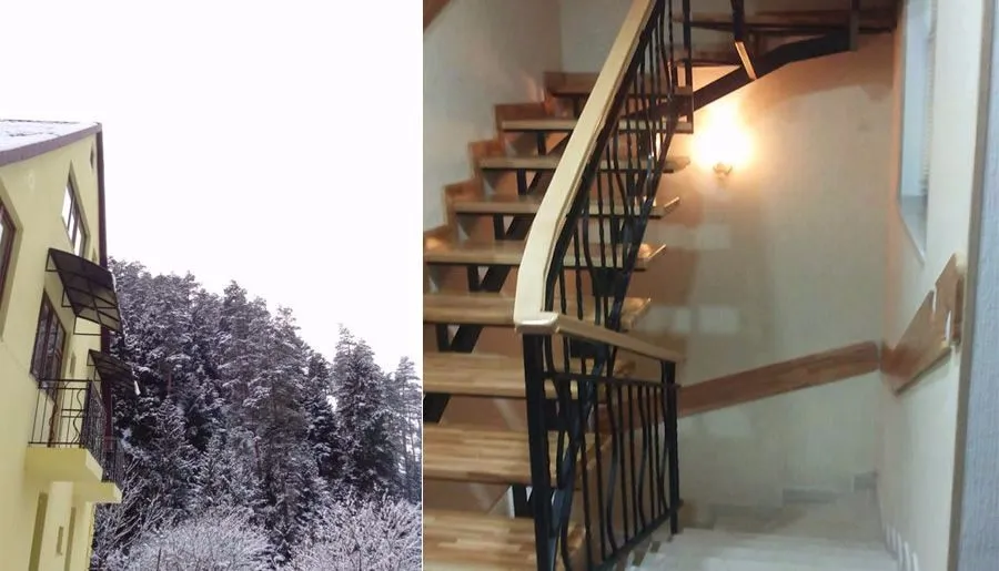 Borjomi Forest — Photo 14