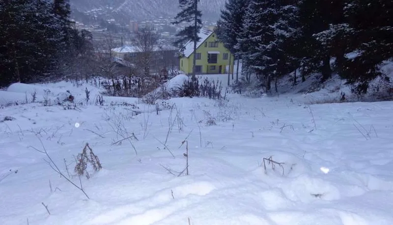 Borjomi Forest — Photo 12