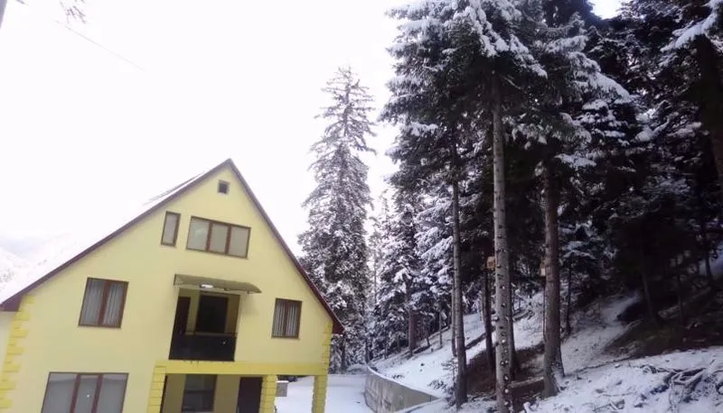 Borjomi Forest — Photo 19