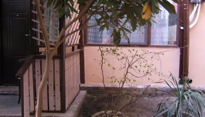 Tina's Homestay — Photo 3