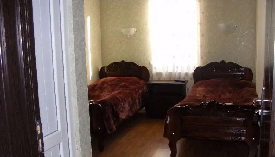 Dzneladze — Photo 8