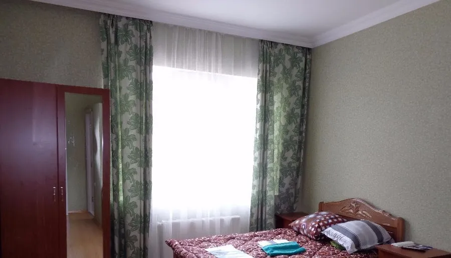 Borjomi-Likani house — Photo 7