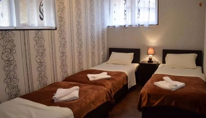 Georgian guesthouse on Asatiani — Photo 32