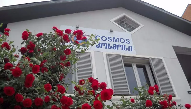 Cosmos — Photo 16