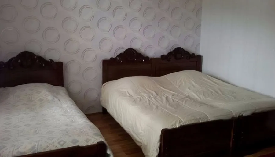 Tetri saxli — Photo 8