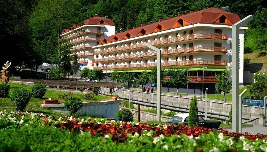 Sairme Hotels and Resorts — Photo 13