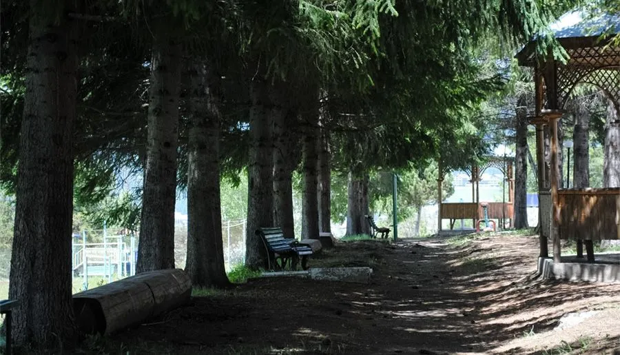 Bakuriani Resorts — Photo 42