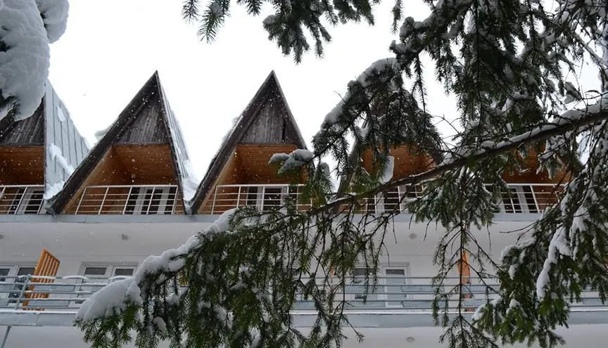 Bakuriani Resorts — Photo 40
