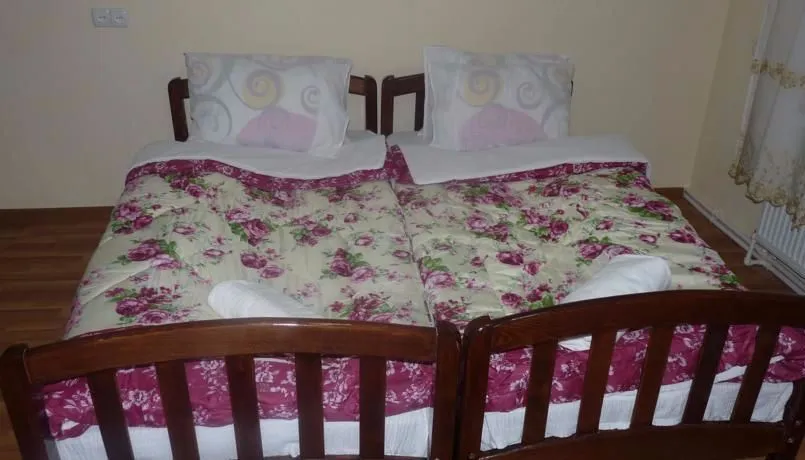 GUEST HOUSE GIS — Photo 6