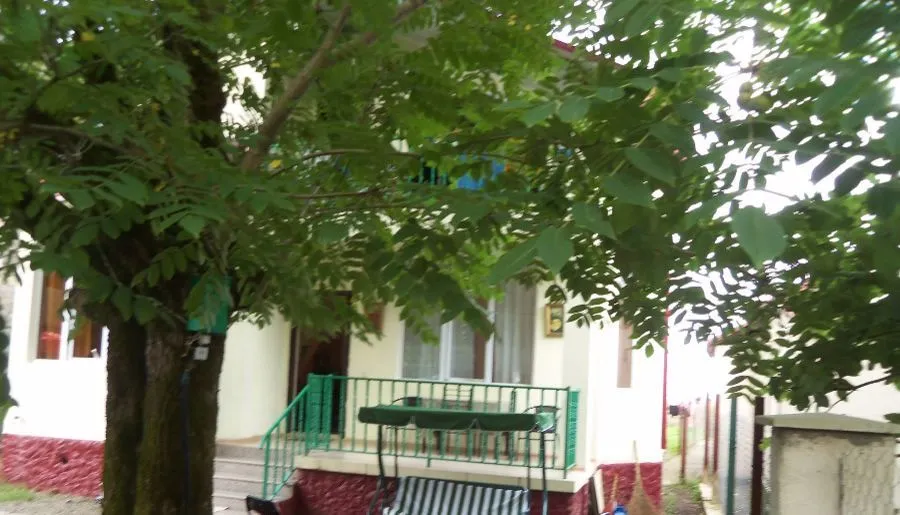 TINIKO — Photo 19