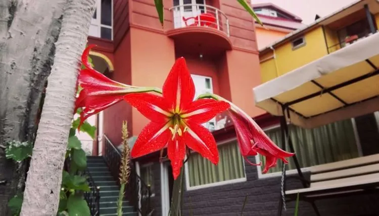 Gold Guest House — Photo 7