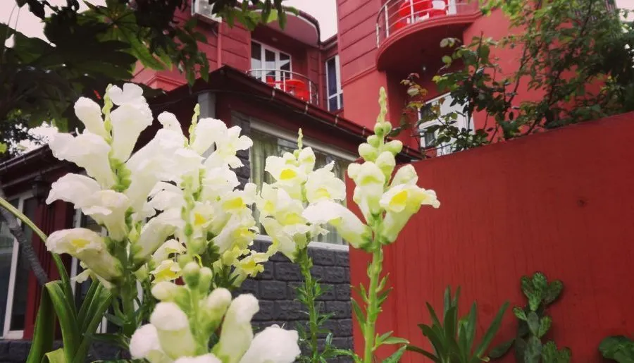 Gold Guest House — Photo 19