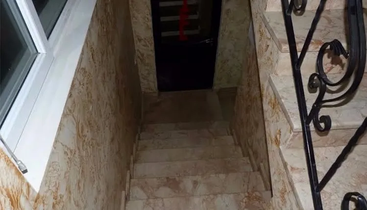 Lux — Photo 3