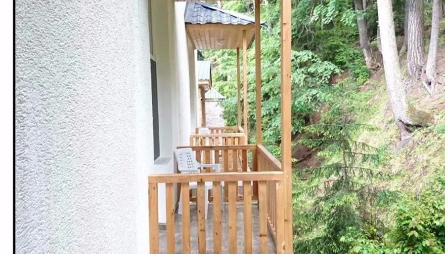 Abastumani Residence — Photo 49