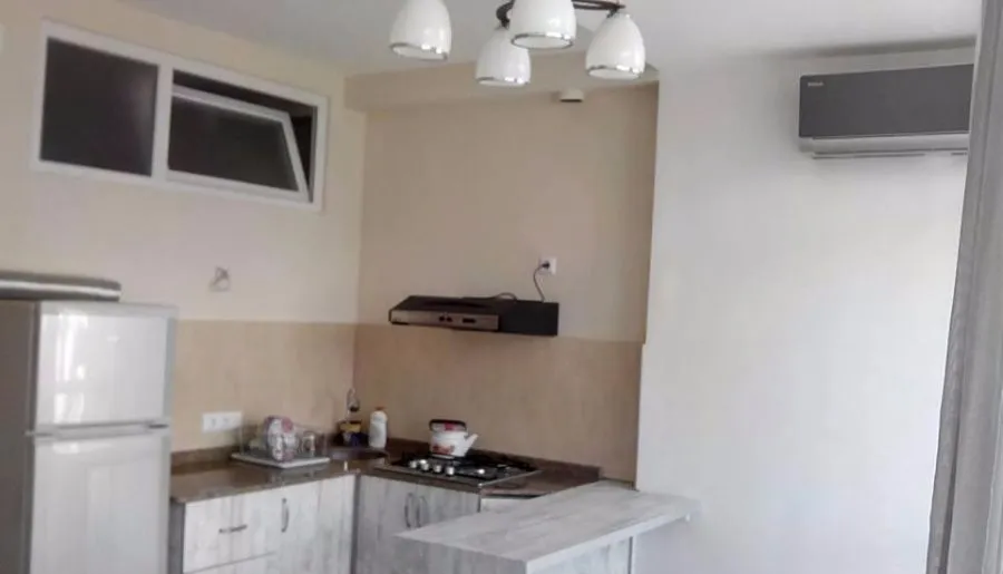 Apartment  on Farnavaz Mepe 150 — Photo 3