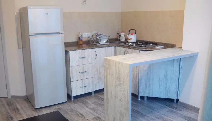 Apartment  on Farnavaz Mepe 150 — Photo 5