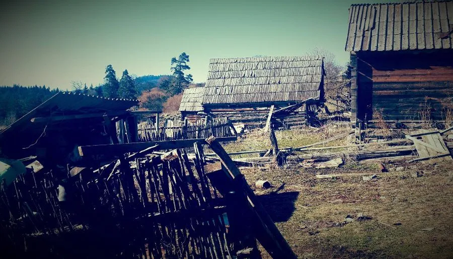 MG House — Photo 38